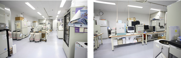 Main Laboratory Photo 1
