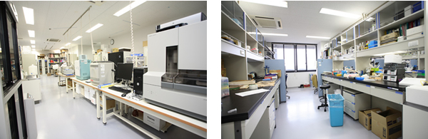 Main Laboratory Photo 2