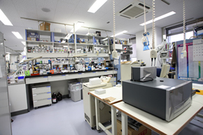 Main Laboratory Photo 3