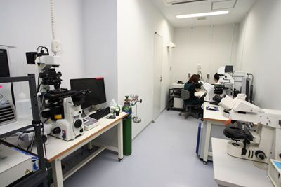 Microscope Room