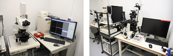 Confocal Laser Microscope